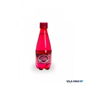 AGUA MINERAL PASSA QUATRO C/ GAS 12X310ML